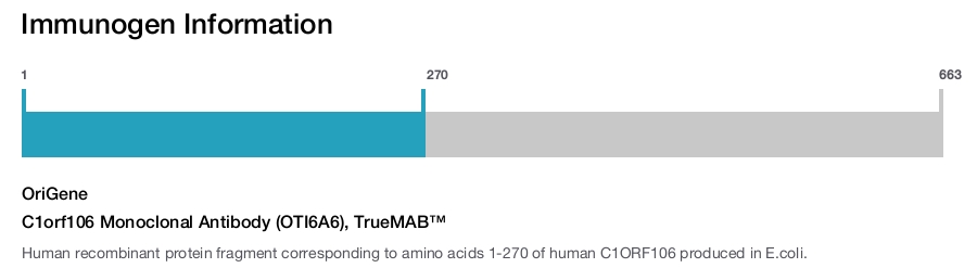 C1orf106 Monoclonal Antibody (OTI6A6), TrueMAB&trade;