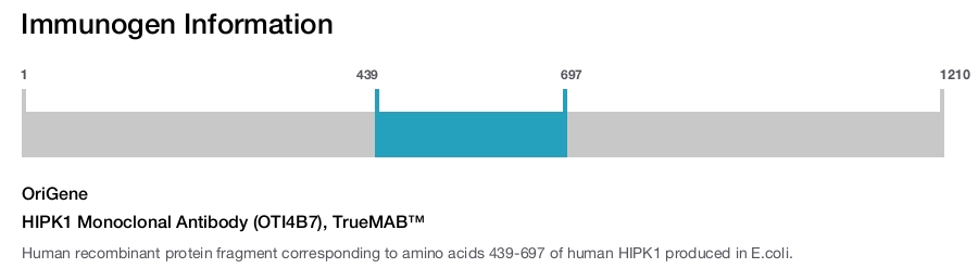 HIPK1 Monoclonal Antibody (OTI4B7), TrueMAB&trade;