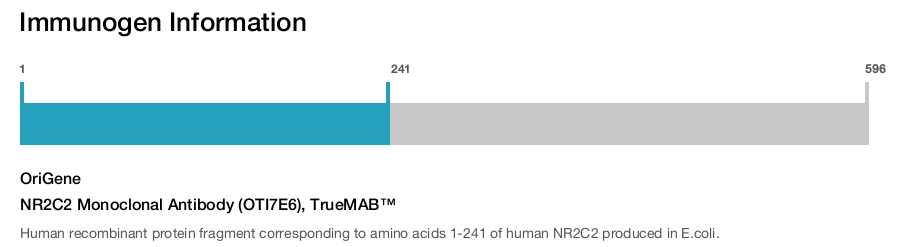 NR2C2 Monoclonal Antibody (OTI7E6), TrueMAB&trade;
