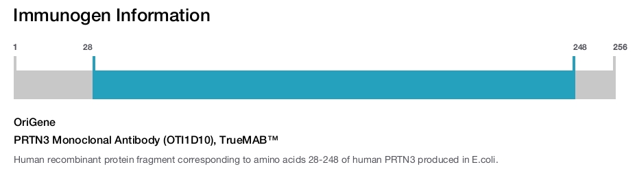 PRTN3 Monoclonal Antibody (OTI1D10), TrueMAB&trade;
