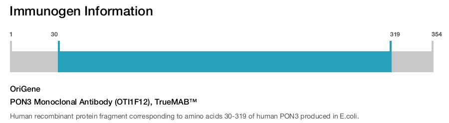 PON3 Monoclonal Antibody (OTI1F12), TrueMAB&trade;