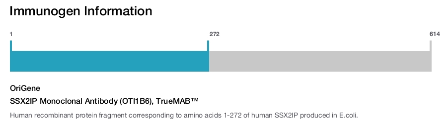 SSX2IP Monoclonal Antibody (OTI1B6), TrueMAB&trade;