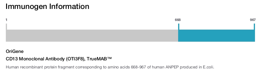 CD13 Monoclonal Antibody (OTI3F8), TrueMAB&trade;