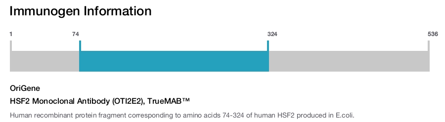 HSF2 Monoclonal Antibody (OTI2E2), TrueMAB&trade;