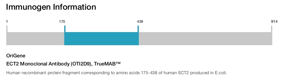 ECT2 Monoclonal Antibody (OTI2D9), TrueMAB&trade;