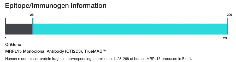 MRPL15 Monoclonal Antibody (OTI2D3), TrueMAB&trade;