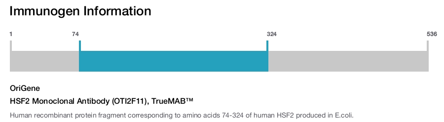 HSF2 Monoclonal Antibody (OTI2F11), TrueMAB&trade;