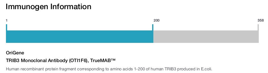 TRIB3 Monoclonal Antibody (OTI1F6), TrueMAB&trade;