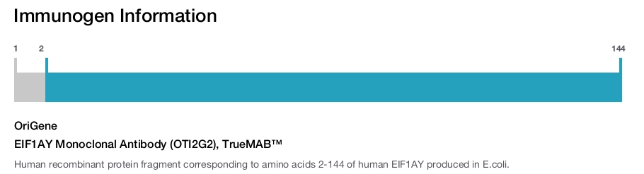 EIF1AY Monoclonal Antibody (OTI2G2), TrueMAB&trade;