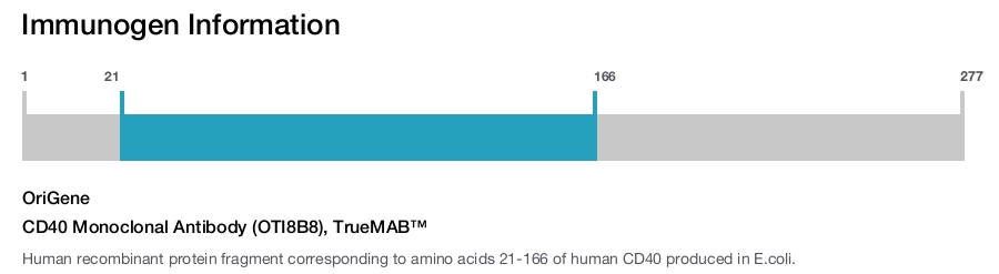 CD40 Monoclonal Antibody (OTI8B8), TrueMAB&trade;
