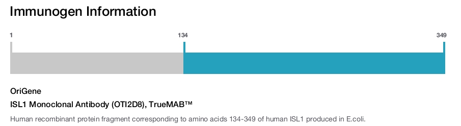 ISL1 Monoclonal Antibody (OTI2D8), TrueMAB&trade;