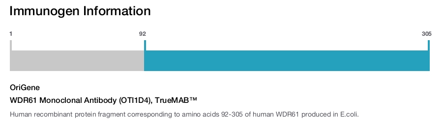 WDR61 Monoclonal Antibody (OTI1D4), TrueMAB&trade;