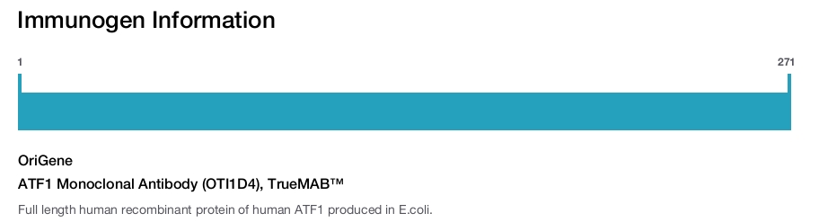 ATF1 Monoclonal Antibody (OTI1D4), TrueMAB&trade;