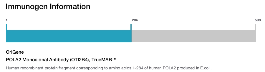 POLA2 Monoclonal Antibody (OTI2B4), TrueMAB&trade;