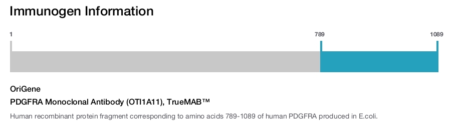 PDGFRA Monoclonal Antibody (OTI1A11), TrueMAB&trade;
