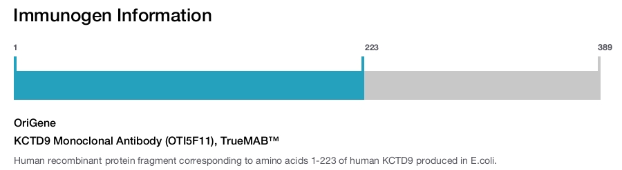 KCTD9 Monoclonal Antibody (OTI5F11), TrueMAB&trade;
