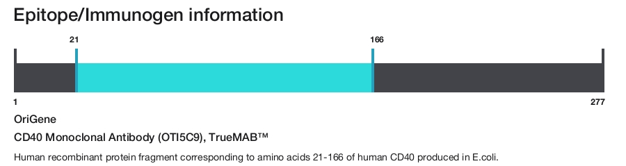 CD40 Monoclonal Antibody (OTI5C9), TrueMAB&trade;