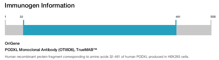 PODXL Monoclonal Antibody (OTI8D6), TrueMAB&trade;