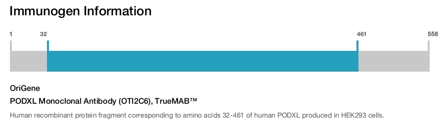 PODXL Monoclonal Antibody (OTI2C6), TrueMAB&trade;