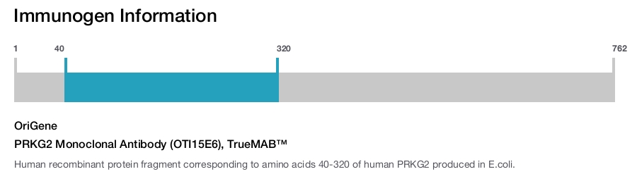 PRKG2 Monoclonal Antibody (OTI15E6), TrueMAB&trade;