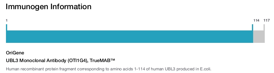 UBL3 Monoclonal Antibody (OTI1G4), TrueMAB&trade;