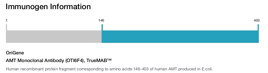 AMT Monoclonal Antibody (OTI6F4), TrueMAB&trade;