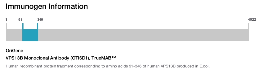 VPS13B Monoclonal Antibody (OTI6D1), TrueMAB&trade;
