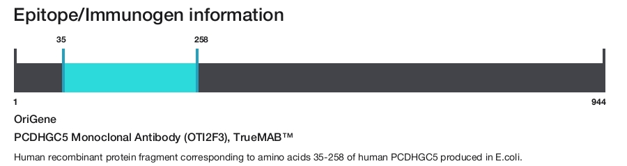 PCDHGC5 Monoclonal Antibody (OTI2F3), TrueMAB&trade;