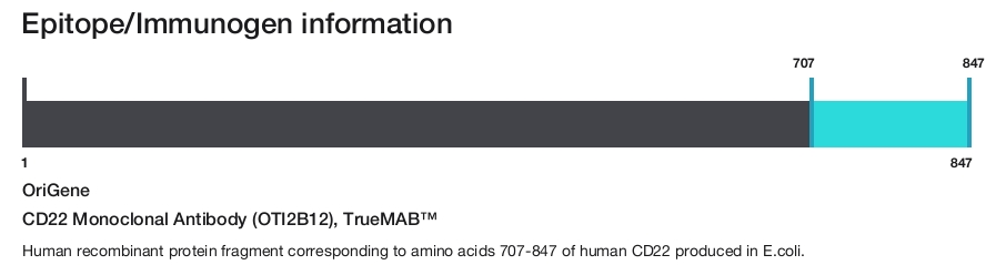 CD22 Monoclonal Antibody (OTI2B12), TrueMAB&trade;