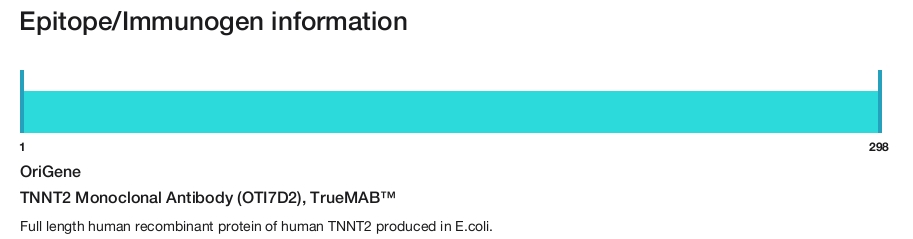 TNNT2 Monoclonal Antibody (OTI7D2), TrueMAB&trade;