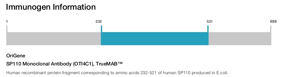 SP110 Monoclonal Antibody (OTI4C1), TrueMAB&trade;