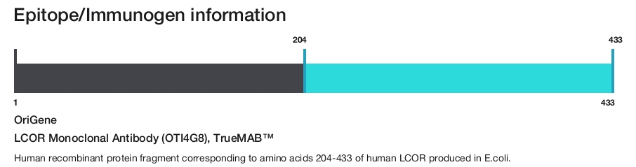 LCOR Monoclonal Antibody (OTI4G8), TrueMAB&trade;