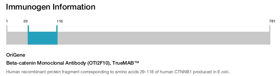 Beta-catenin Monoclonal Antibody (OTI2F10), TrueMAB&trade;
