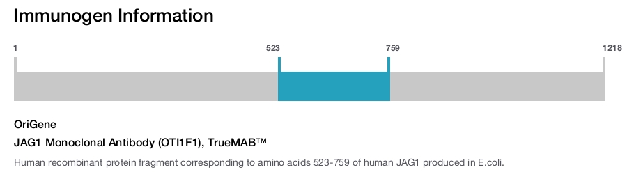 JAG1 Monoclonal Antibody (OTI1F1), TrueMAB&trade;
