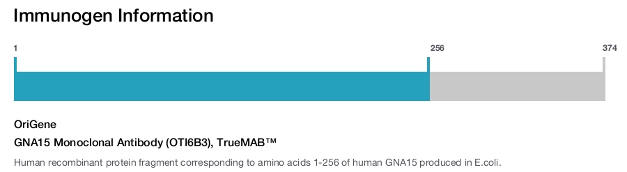 GNA15 Monoclonal Antibody (OTI6B3), TrueMAB&trade;