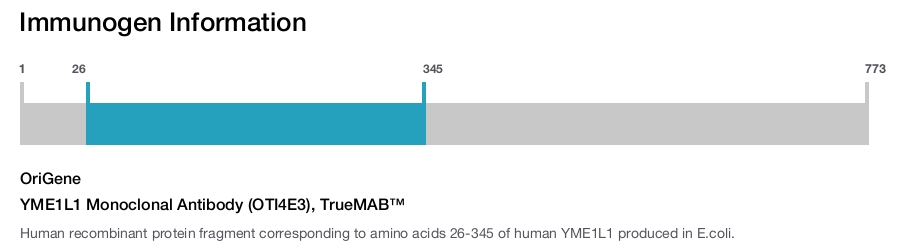 YME1L1 Monoclonal Antibody (OTI4E3), TrueMAB&trade;