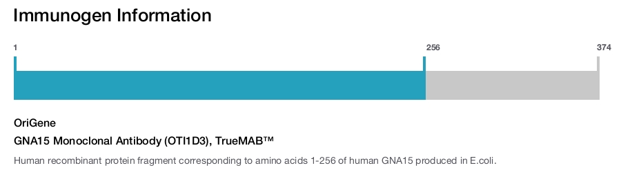 GNA15 Monoclonal Antibody (OTI1D3), TrueMAB&trade;