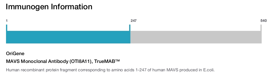 MAVS Monoclonal Antibody (OTI8A11), TrueMAB&trade;
