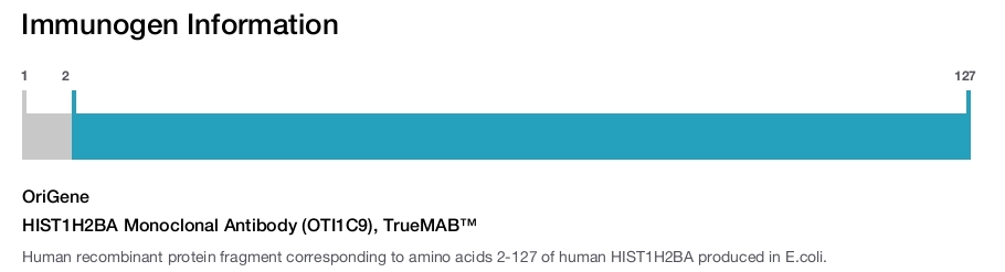 HIST1H2BA Monoclonal Antibody (OTI1C9), TrueMAB&trade;