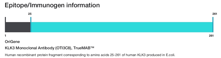KLK3 Monoclonal Antibody (OTI3C8), TrueMAB&trade;