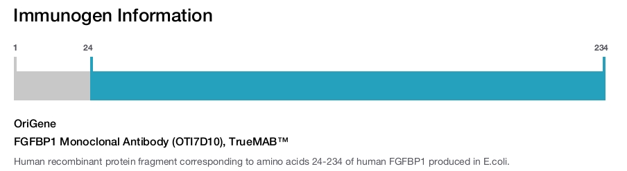 FGFBP1 Monoclonal Antibody (OTI7D10), TrueMAB&trade;