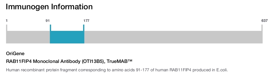 RAB11FIP4 Monoclonal Antibody (OTI13B5), TrueMAB&trade;
