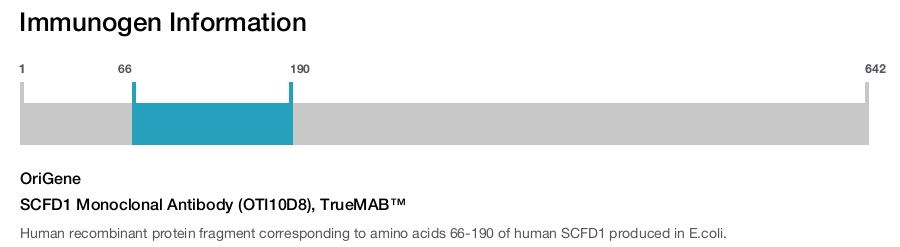 SCFD1 Monoclonal Antibody (OTI10D8), TrueMAB&trade;