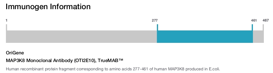 MAP3K8 Monoclonal Antibody (OTI2E10), TrueMAB&trade;