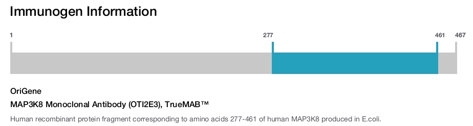 MAP3K8 Monoclonal Antibody (OTI2E3), TrueMAB&trade;