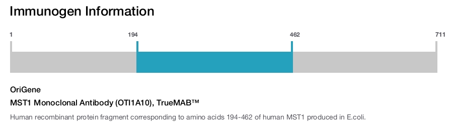MST1 Monoclonal Antibody (OTI1A10), TrueMAB&trade;