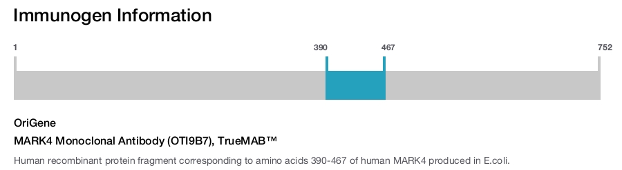 MARK4 Monoclonal Antibody (OTI9B7), TrueMAB&trade;