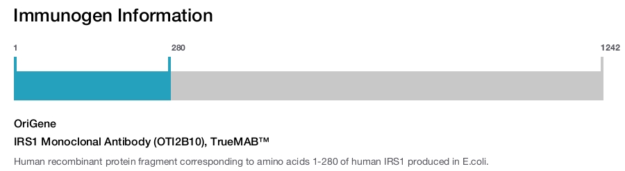 IRS1 Monoclonal Antibody (OTI2B10), TrueMAB&trade;