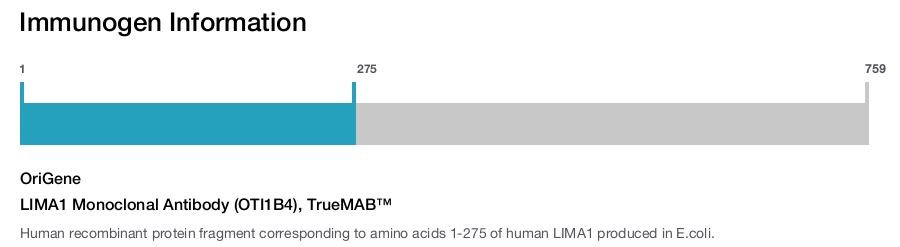 LIMA1 Monoclonal Antibody (OTI1B4), TrueMAB&trade;
