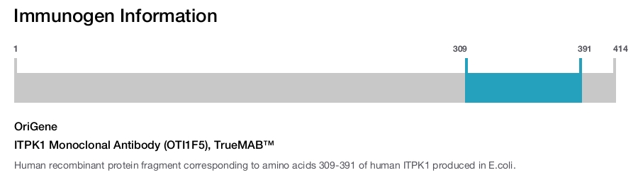 ITPK1 Monoclonal Antibody (OTI1F5), TrueMAB&trade;